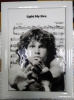 Jim Morrison (Light My Fire) (25*34)