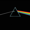 51UtWpxbNYL._SL1500_