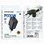 Borofone BA97A